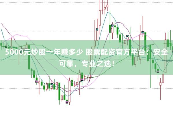 5000元炒股一年赚多少 股票配资官方平台：安全可靠，专业之选！