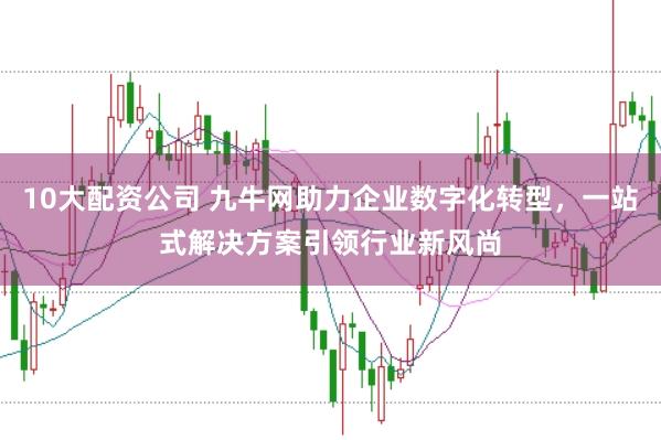 10大配资公司 九牛网助力企业数字化转型，一站式解决方案引领行业新风尚