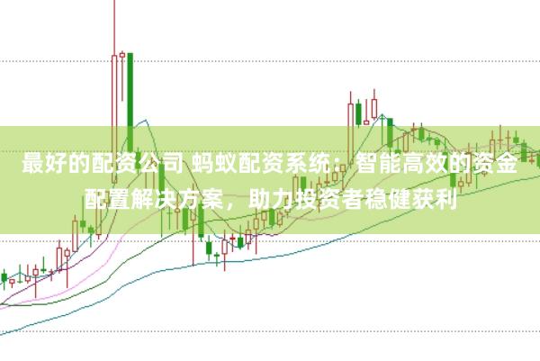 最好的配资公司 蚂蚁配资系统：智能高效的资金配置解决方案，助力投资者稳健获利