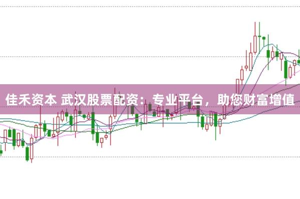 佳禾资本 武汉股票配资：专业平台，助您财富增值