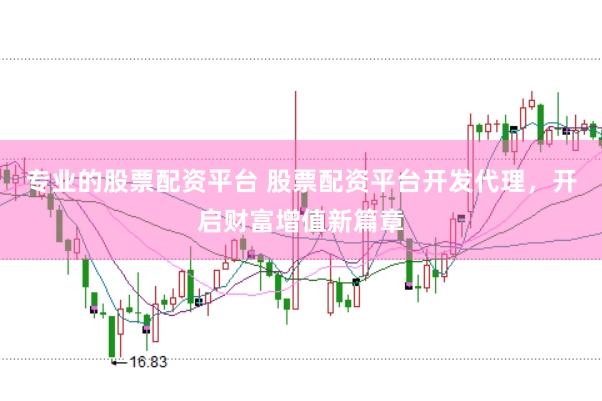 专业的股票配资平台 股票配资平台开发代理，开启财富增值新篇章
