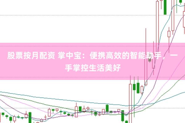 股票按月配资 掌中宝：便携高效的智能助手，一手掌控生活美好