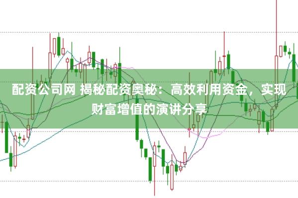配资公司网 揭秘配资奥秘：高效利用资金，实现财富增值的演讲分享