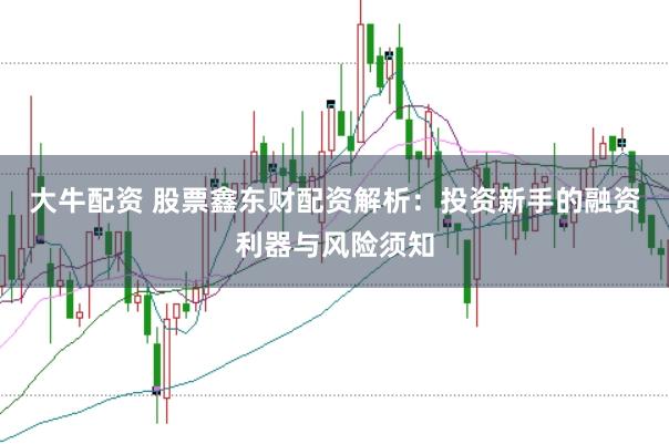 大牛配资 股票鑫东财配资解析：投资新手的融资利器与风险须知