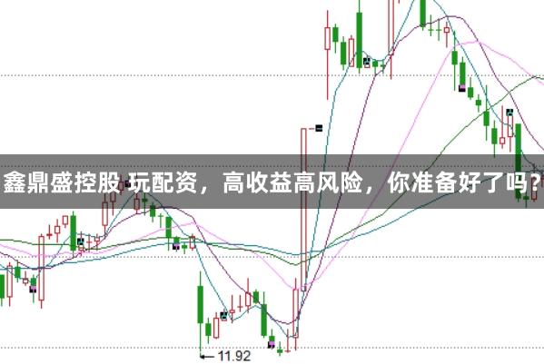 鑫鼎盛控股　 玩配资，高收益高风险，你准备好了吗？