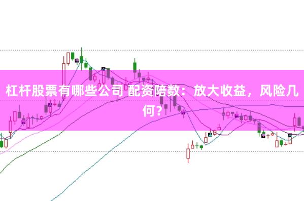 杠杆股票有哪些公司 配资陪数：放大收益，风险几何？