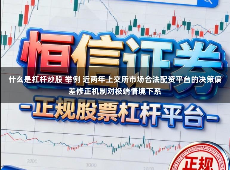 什么是杠杆炒股 举例 近两年上交所市场合法配资平台的决策偏差修正机制对极端情境下系