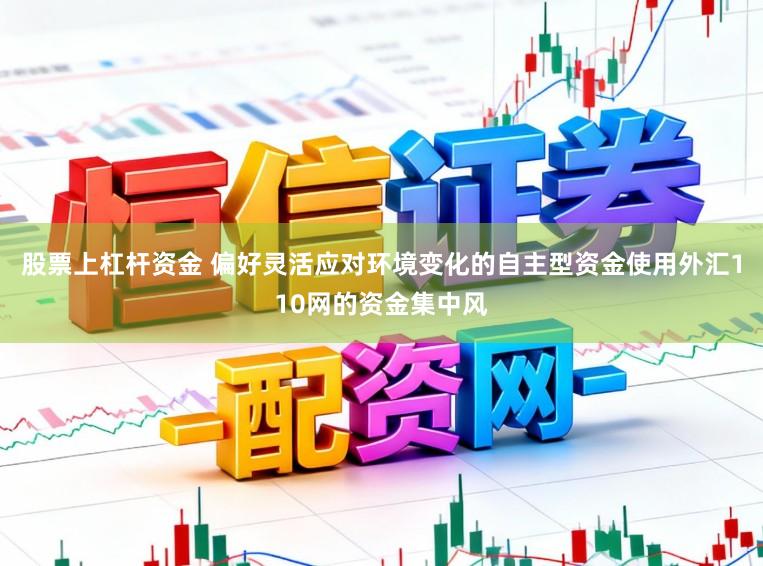股票上杠杆资金 偏好灵活应对环境变化的自主型资金使用外汇110网的资金集中风