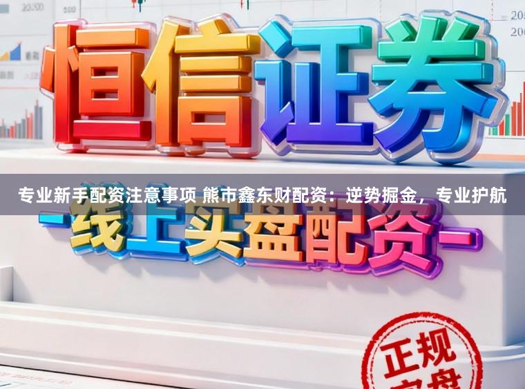 专业新手配资注意事项 熊市鑫东财配资：逆势掘金，专业护航